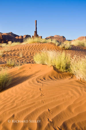 Totem Tracks